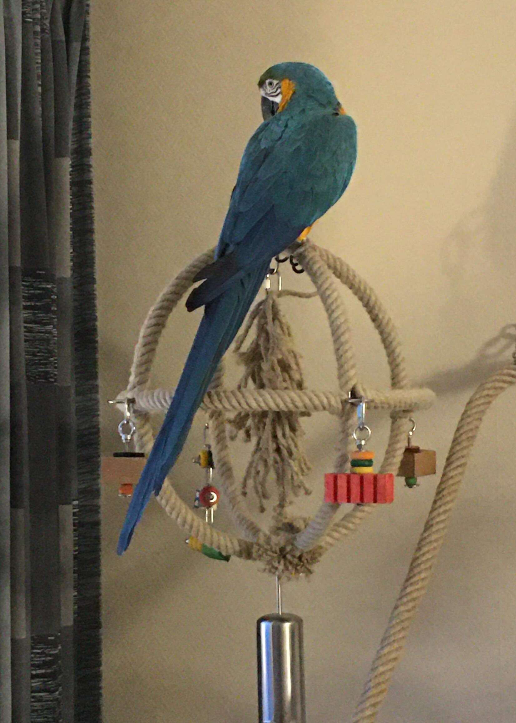 Villa Filou Rvs Speel Paradijs