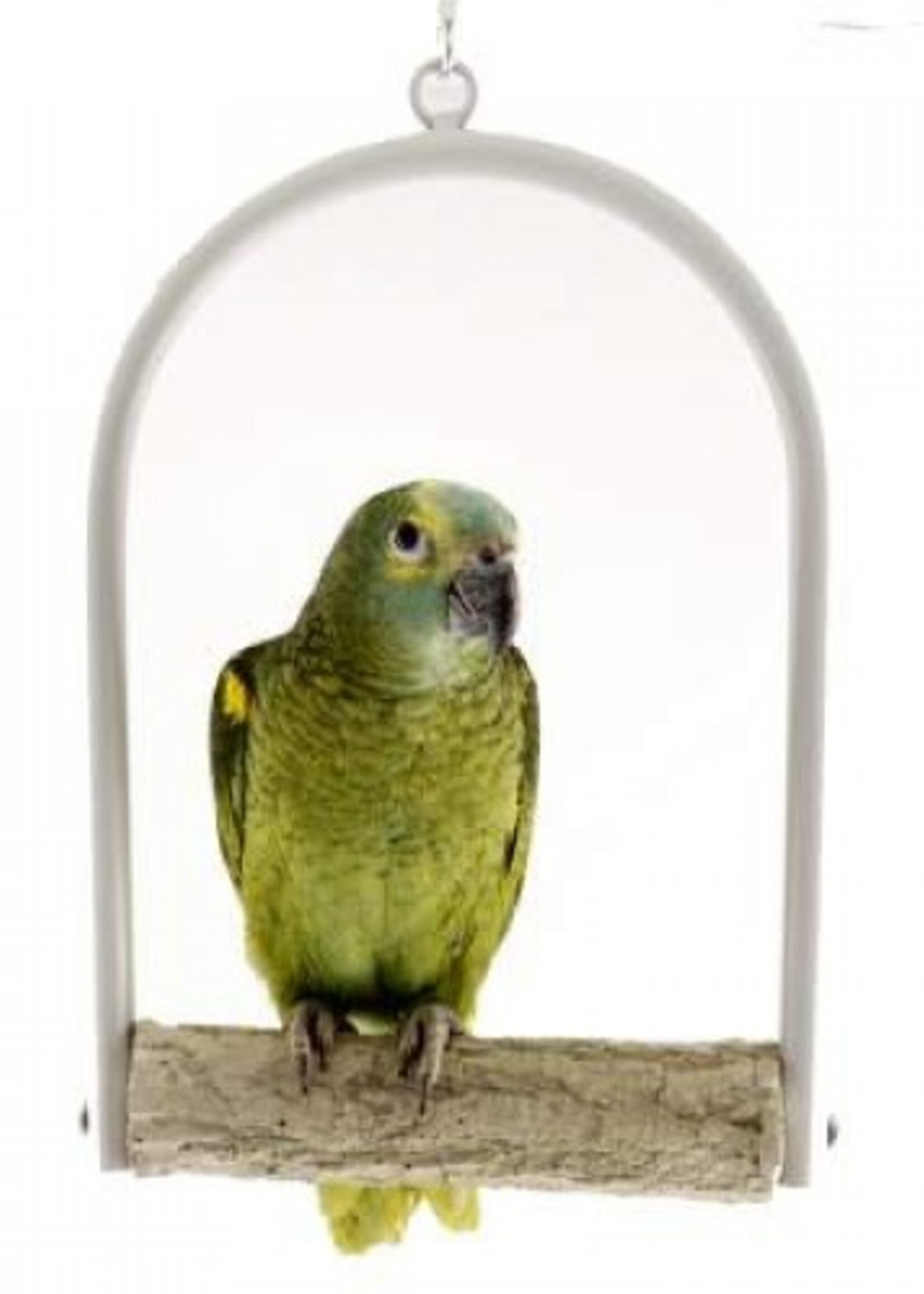 Papegaaien schommel met slijtstok 20 cm