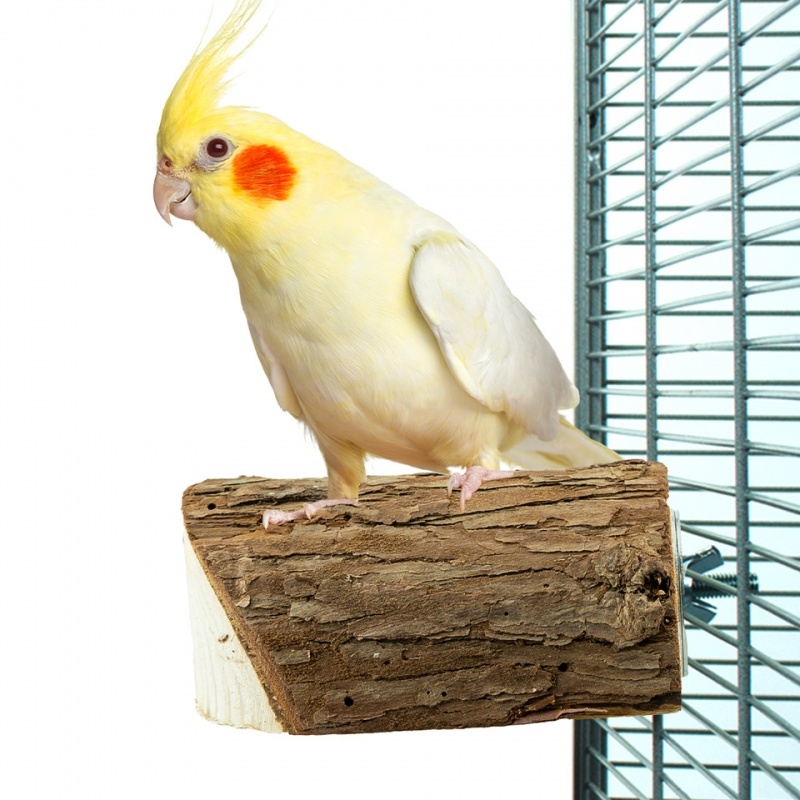 Wood Slice Perch Small