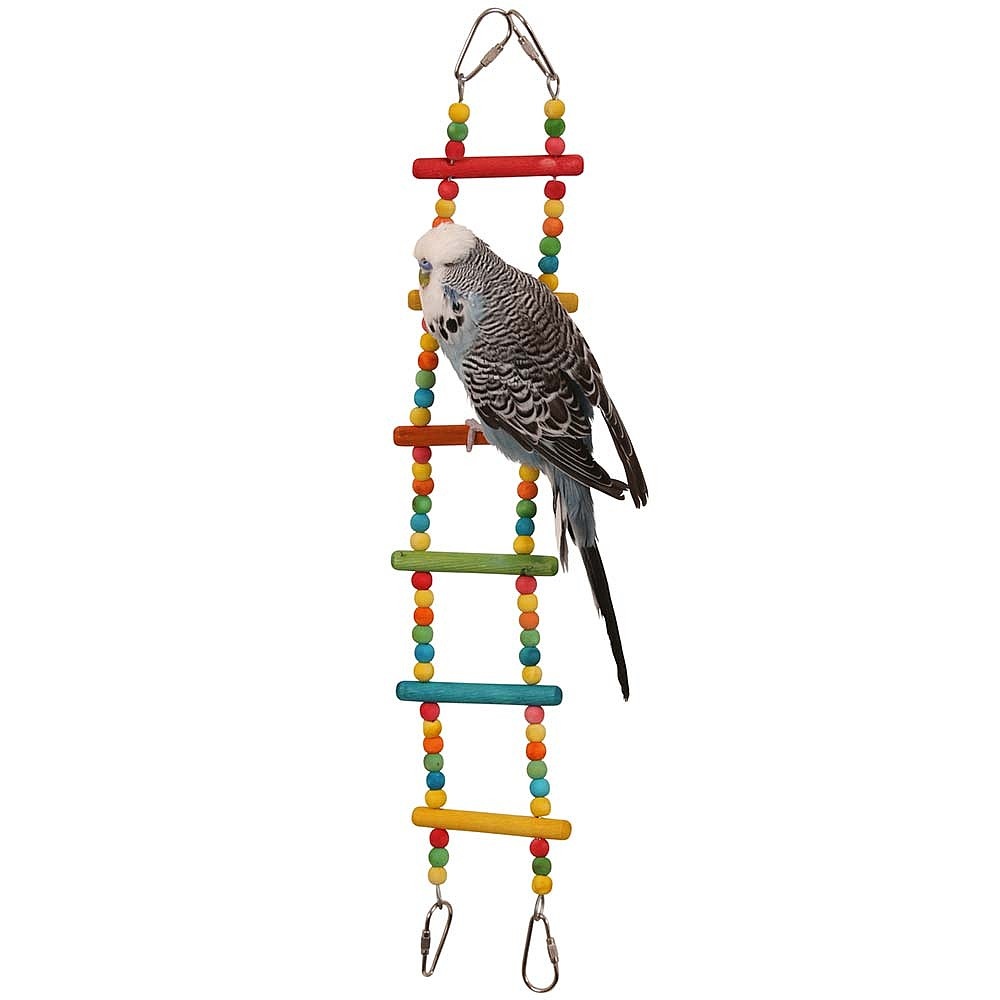 Colloured Bendy Ladder