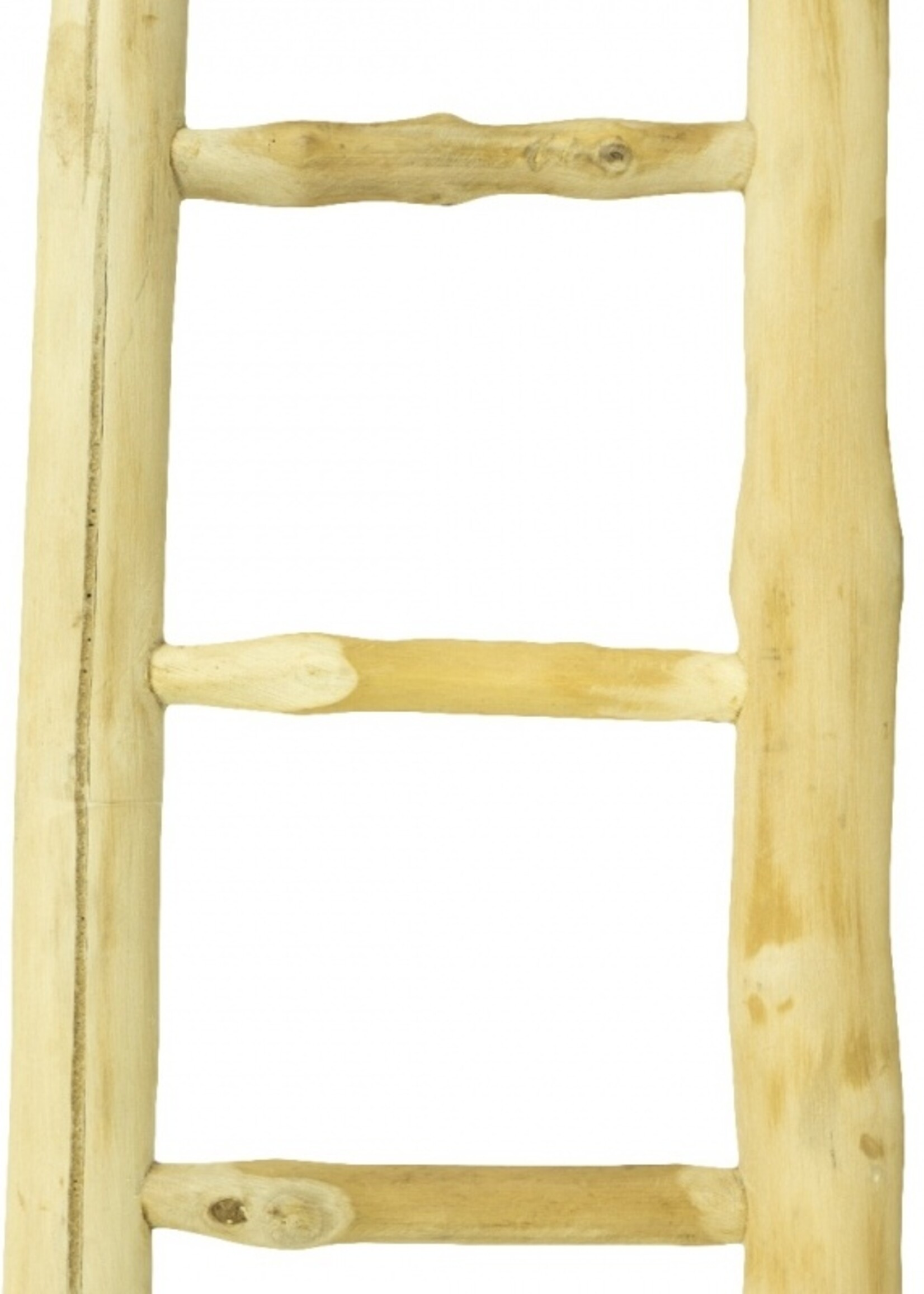 Back Zoo Nature Back Zoo Nature Java Ladder 60 cm