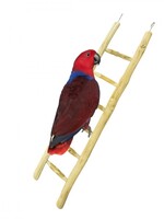 Back Zoo Nature Back Zoo Nature Java Ladder 60 cm