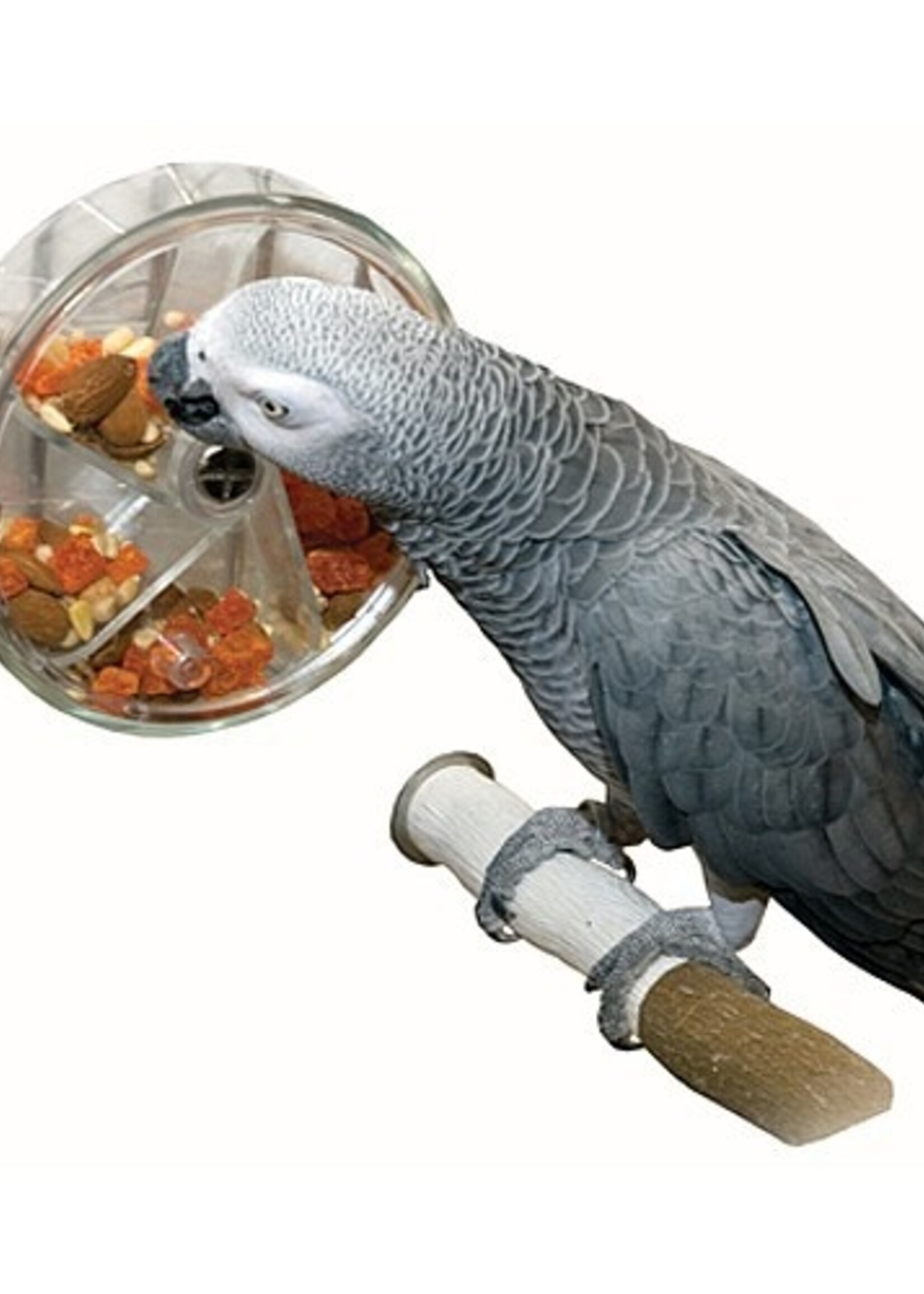 Original Foraging Wheel - Interactive Parrot Toy