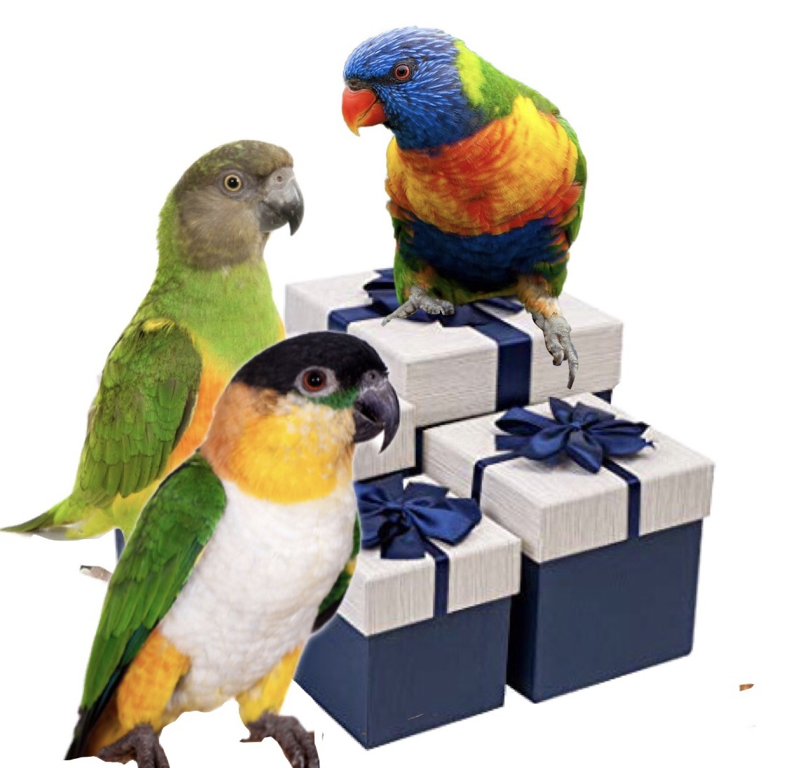 Box Small