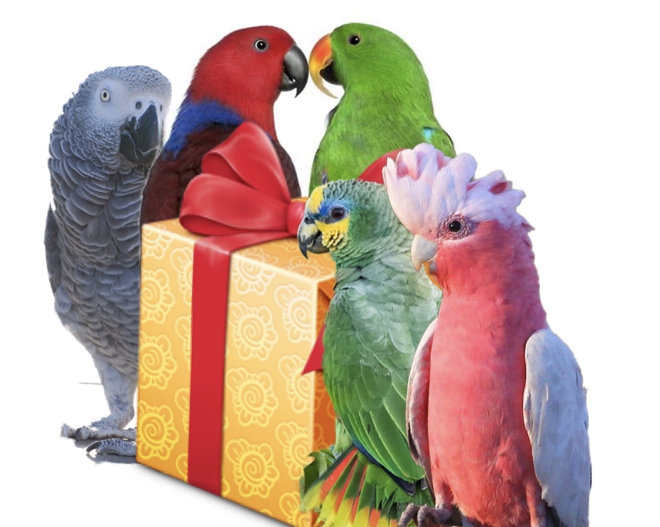 Box Medium