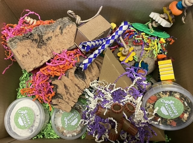 Box Medium