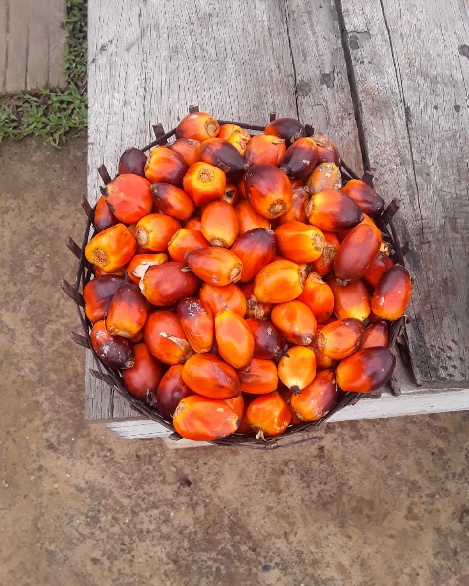 Palm nuts