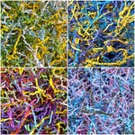 Pakket papieren sliertjes