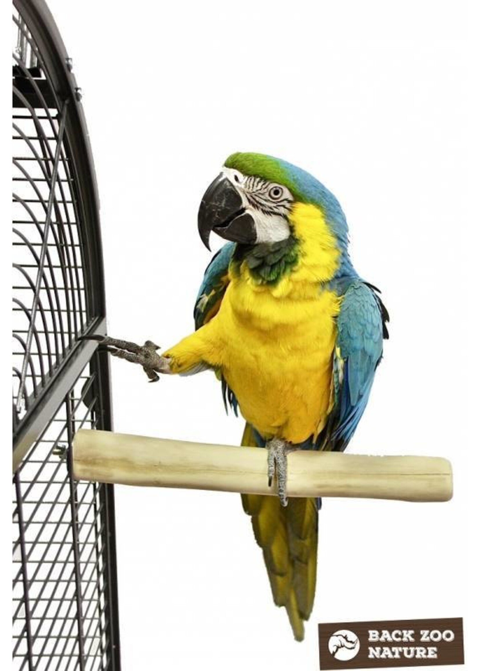 Back Zoo Nature Java Single Perch Large