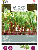 Buzzy Microgreens Swiss Chard