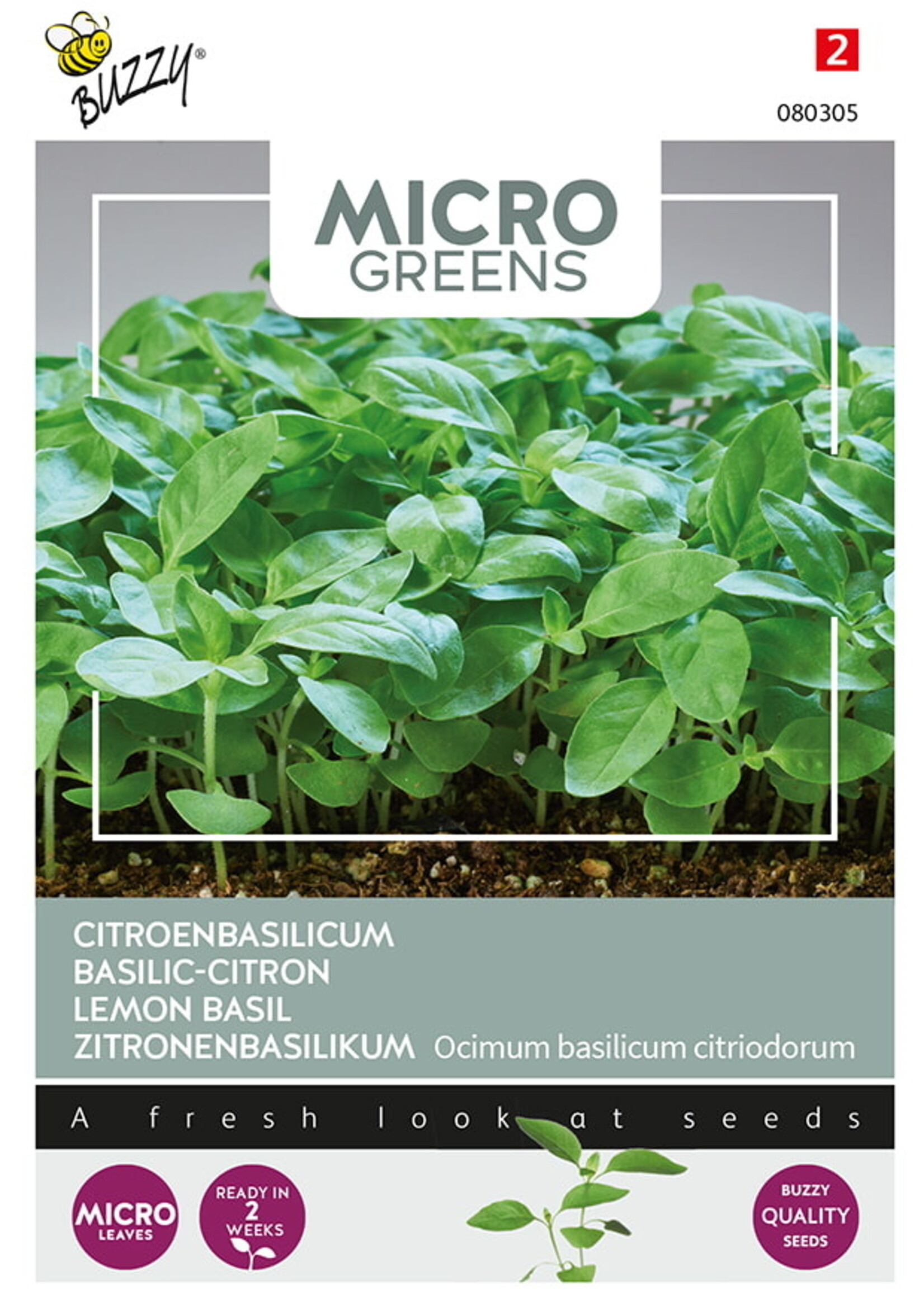 Buzzy Microgreens Citroen basilicum