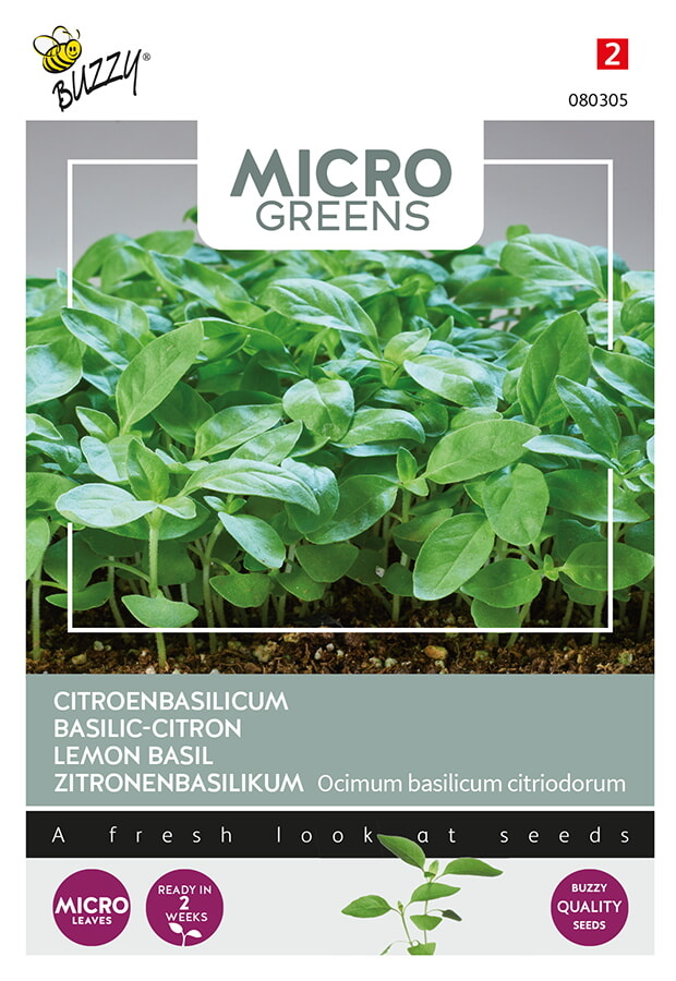 Microgreens Citroen basilicum