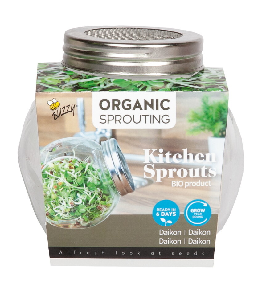 Organic Sprouting pot Daikon Radijs
