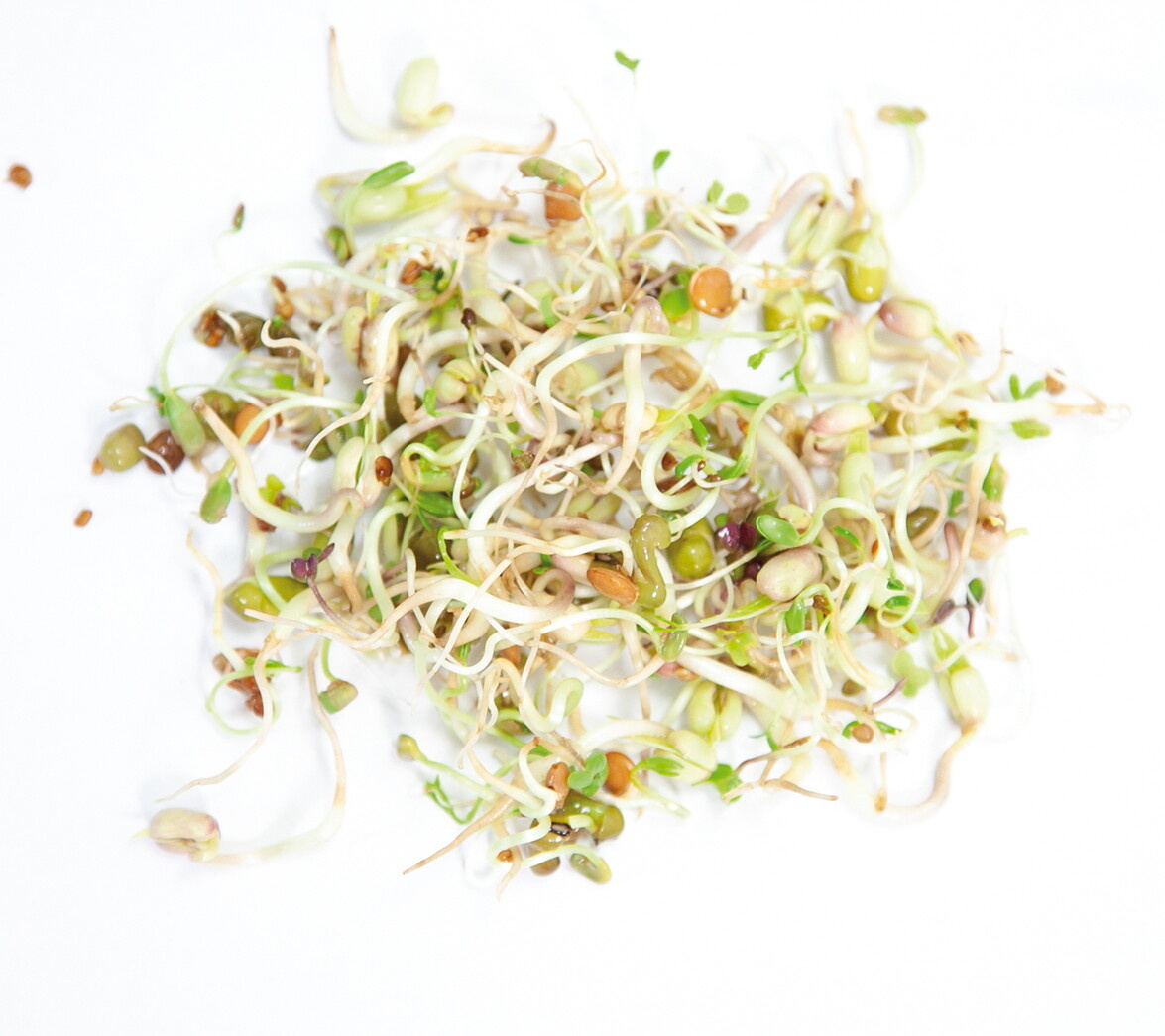 Organic Sprouting pot Salademix