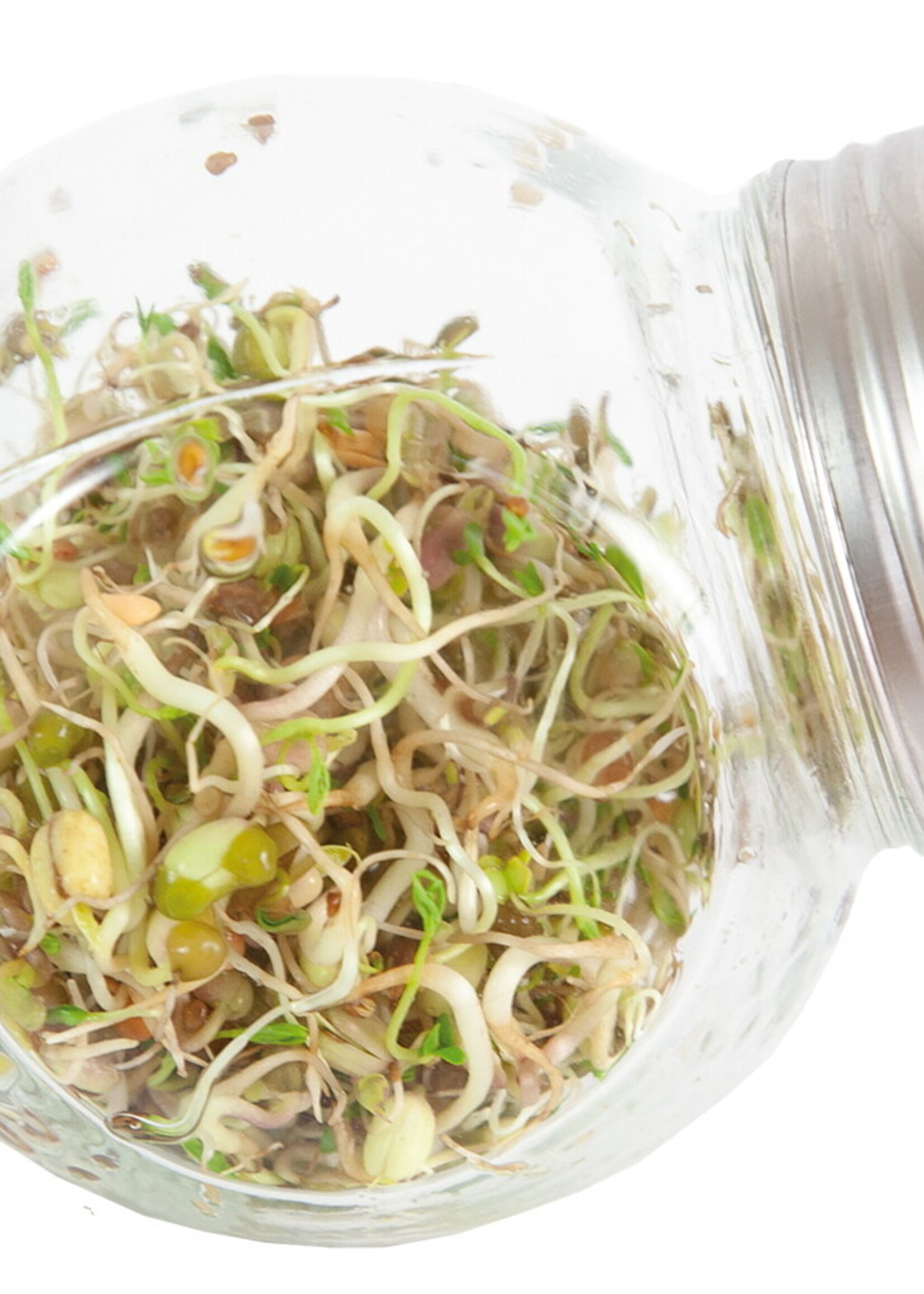 Buzzy Organic Sprouting pot Salademix