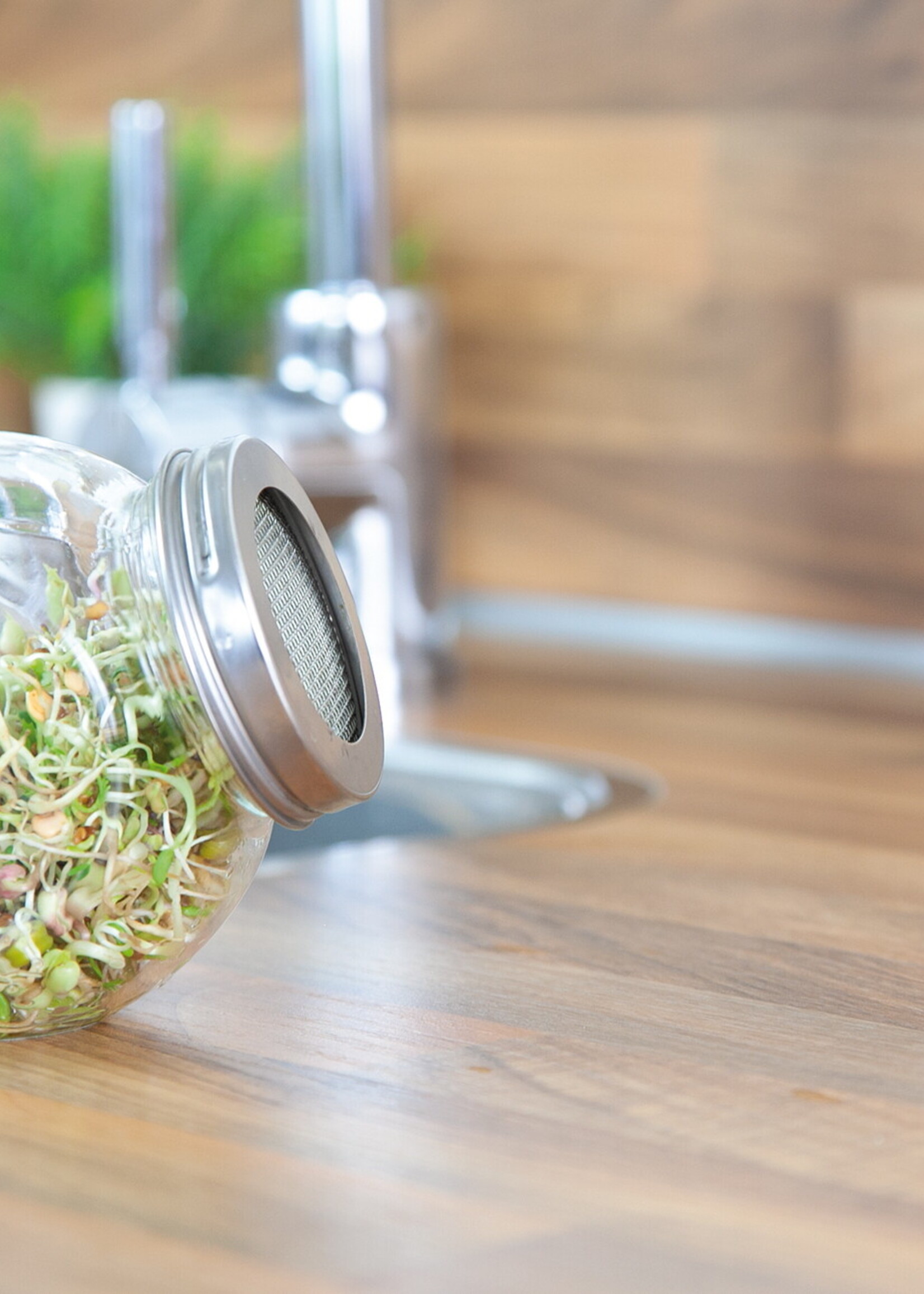 Buzzy Organic Sprouting pot Salademix