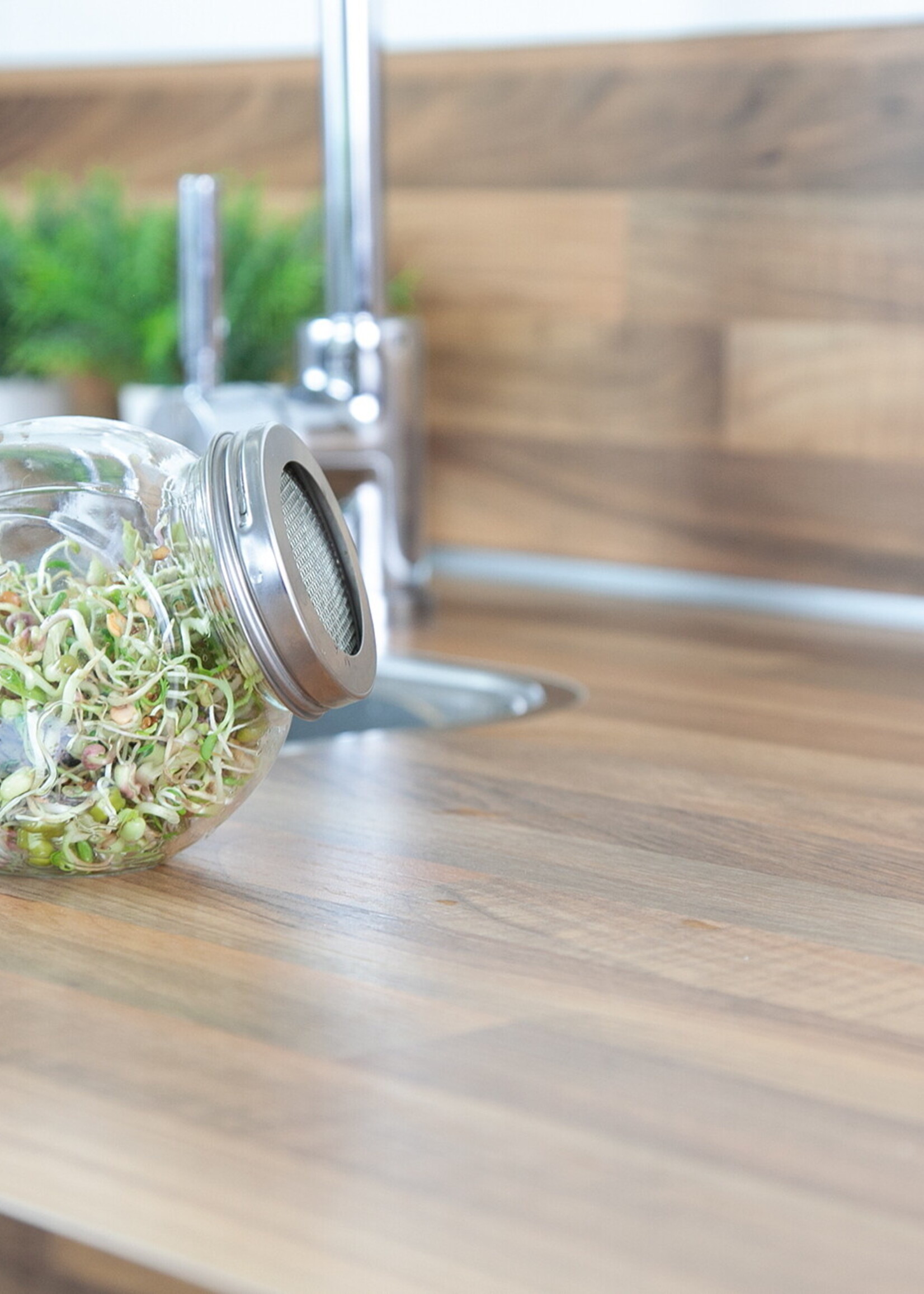 Buzzy Organic Sprouting pot Salademix