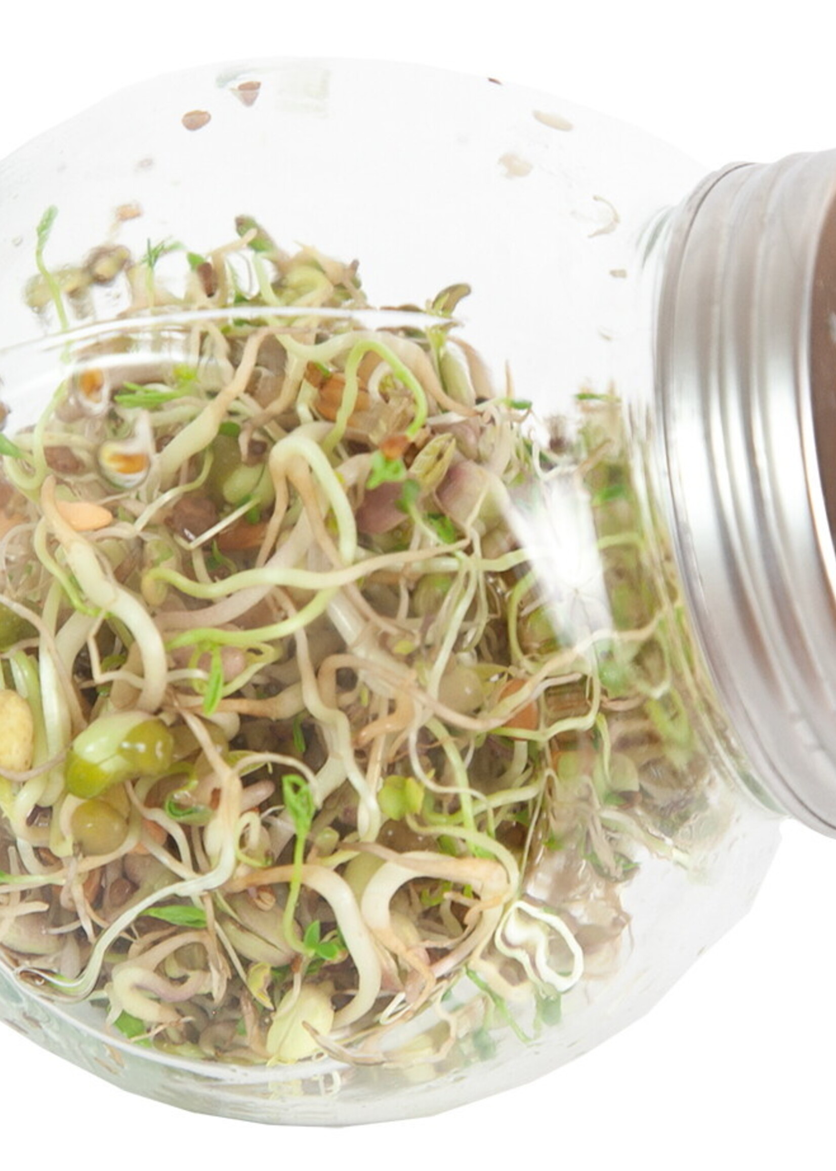 Buzzy Organic Sprouting pot Salademix