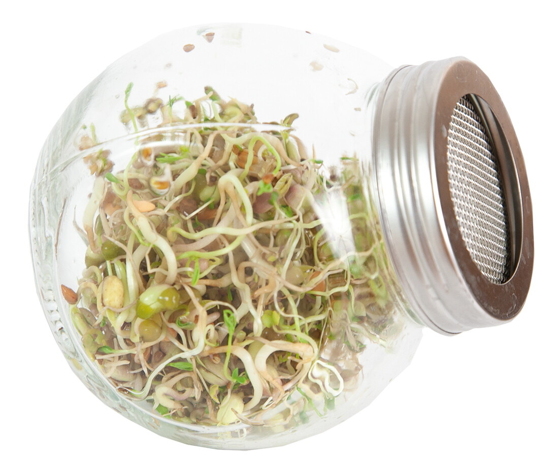 Organic Sprouting pot Salademix