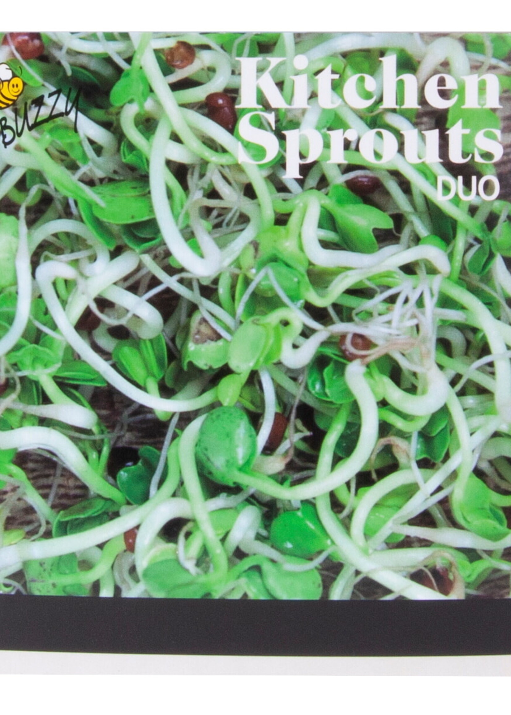 Buzzy Organic Sprouting Duo pot with dish