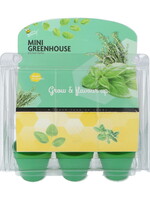 Buzzy Mini Greenhouse Kitchen Herbs
