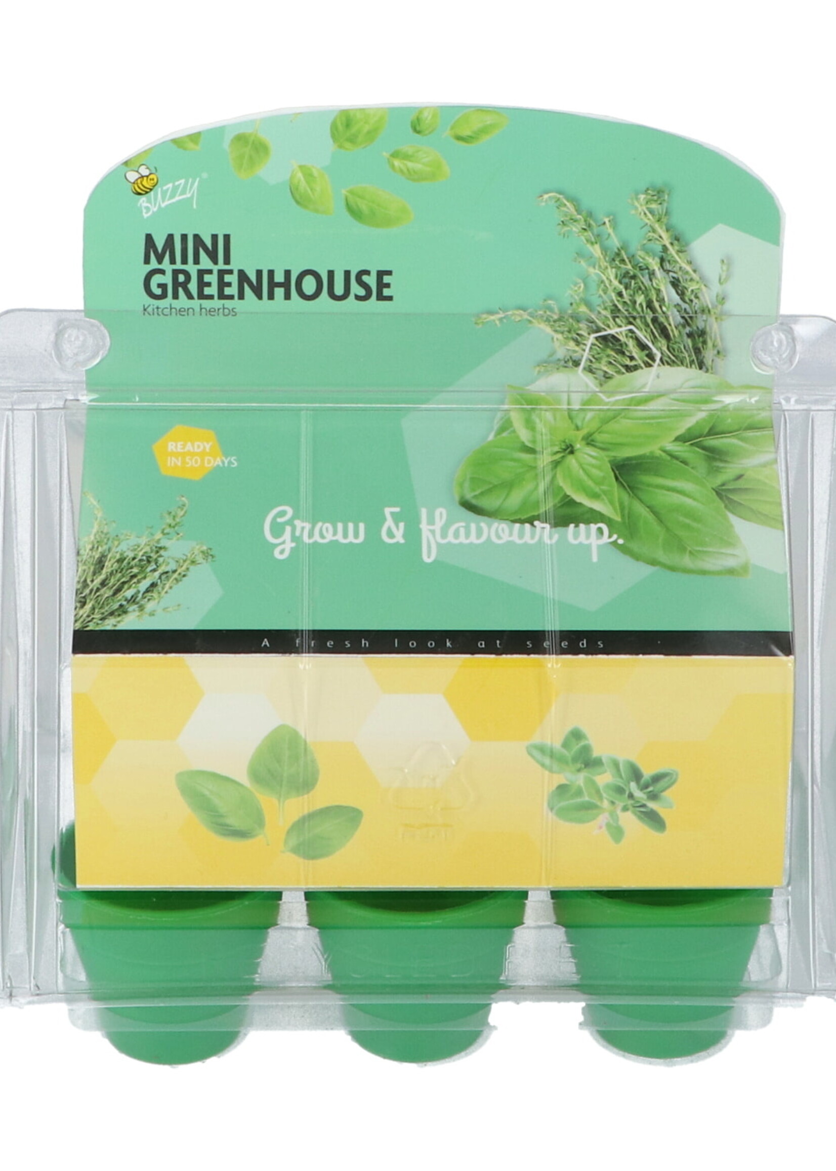 Buzzy Mini Greenhouse Kitchen Herbs