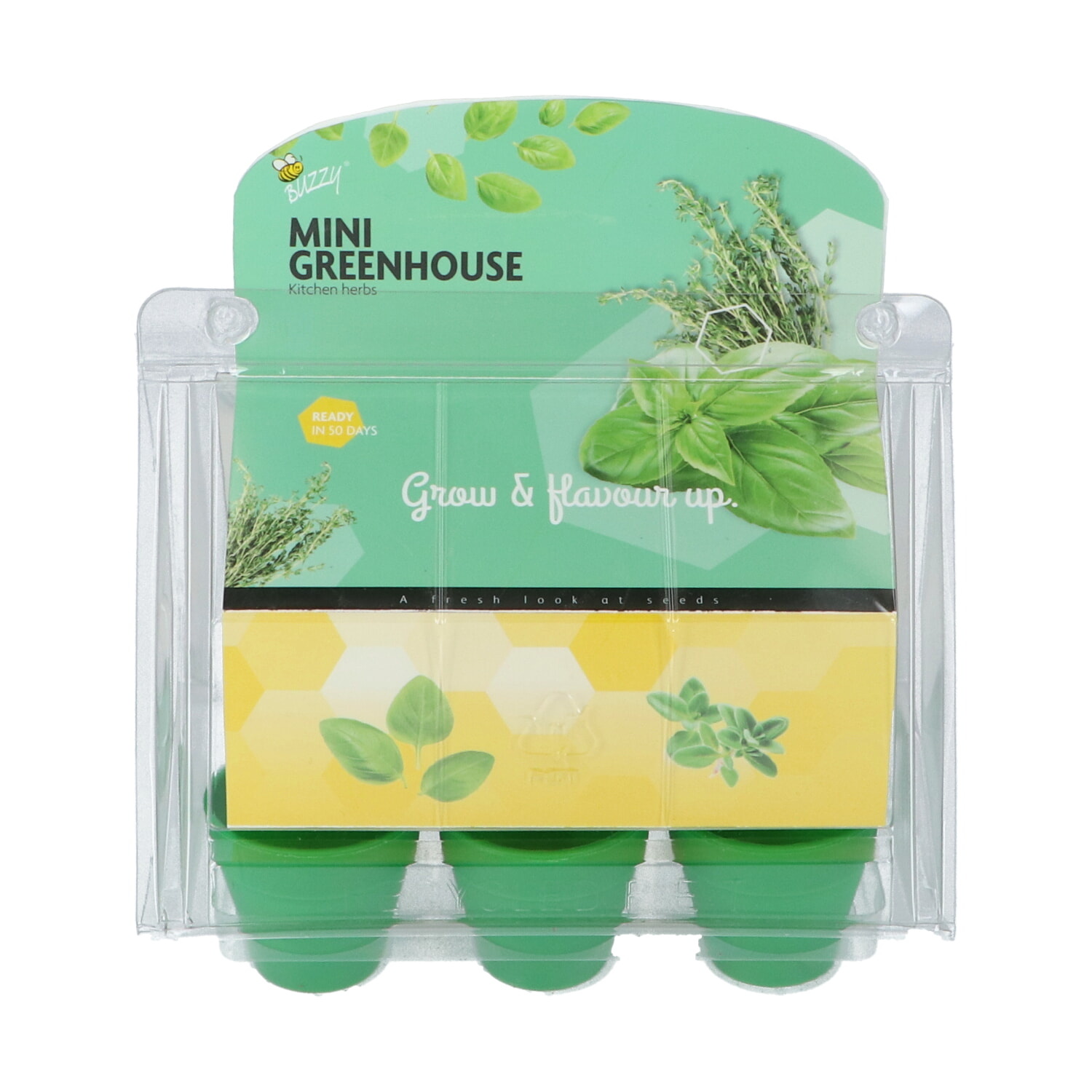 Mini Greenhouse Kitchen Herbs