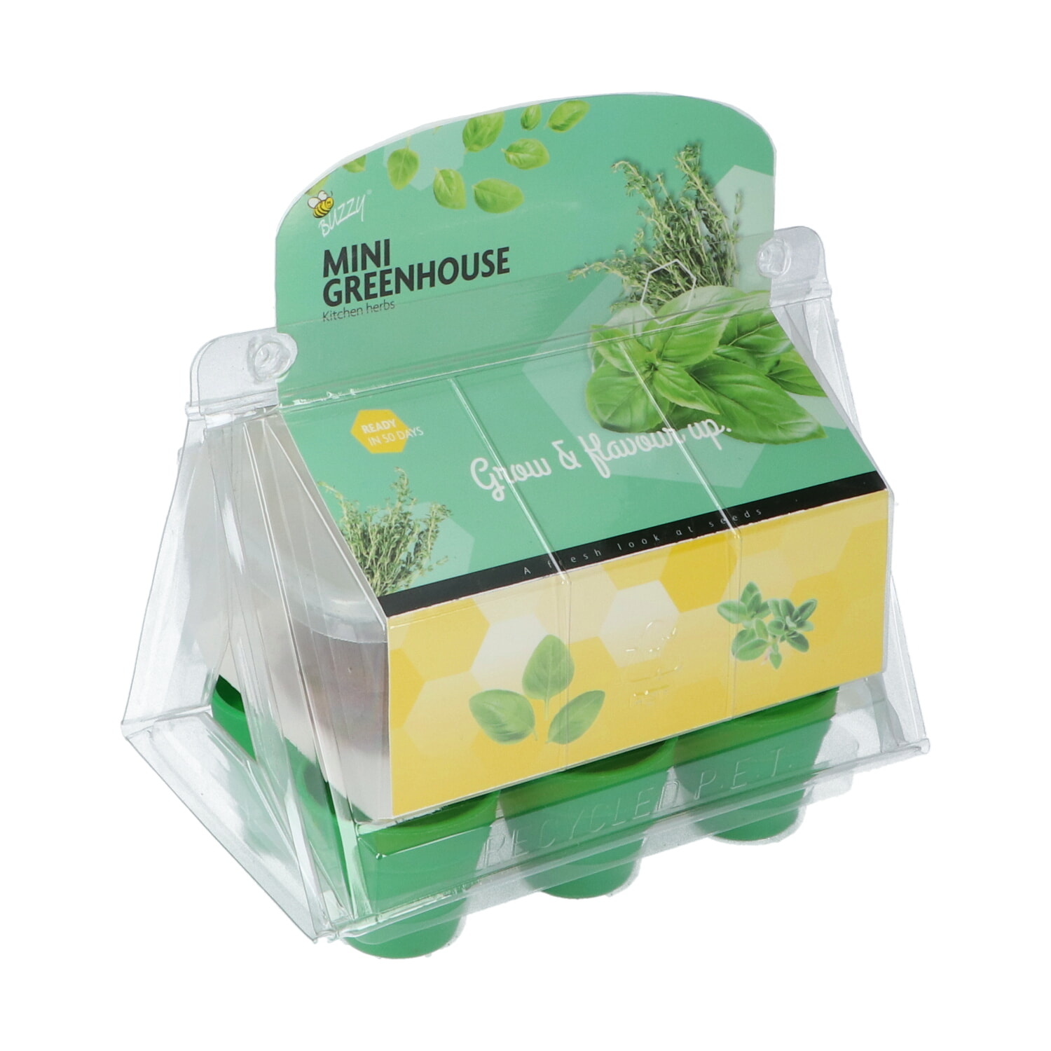 Mini Greenhouse Kitchen Herbs