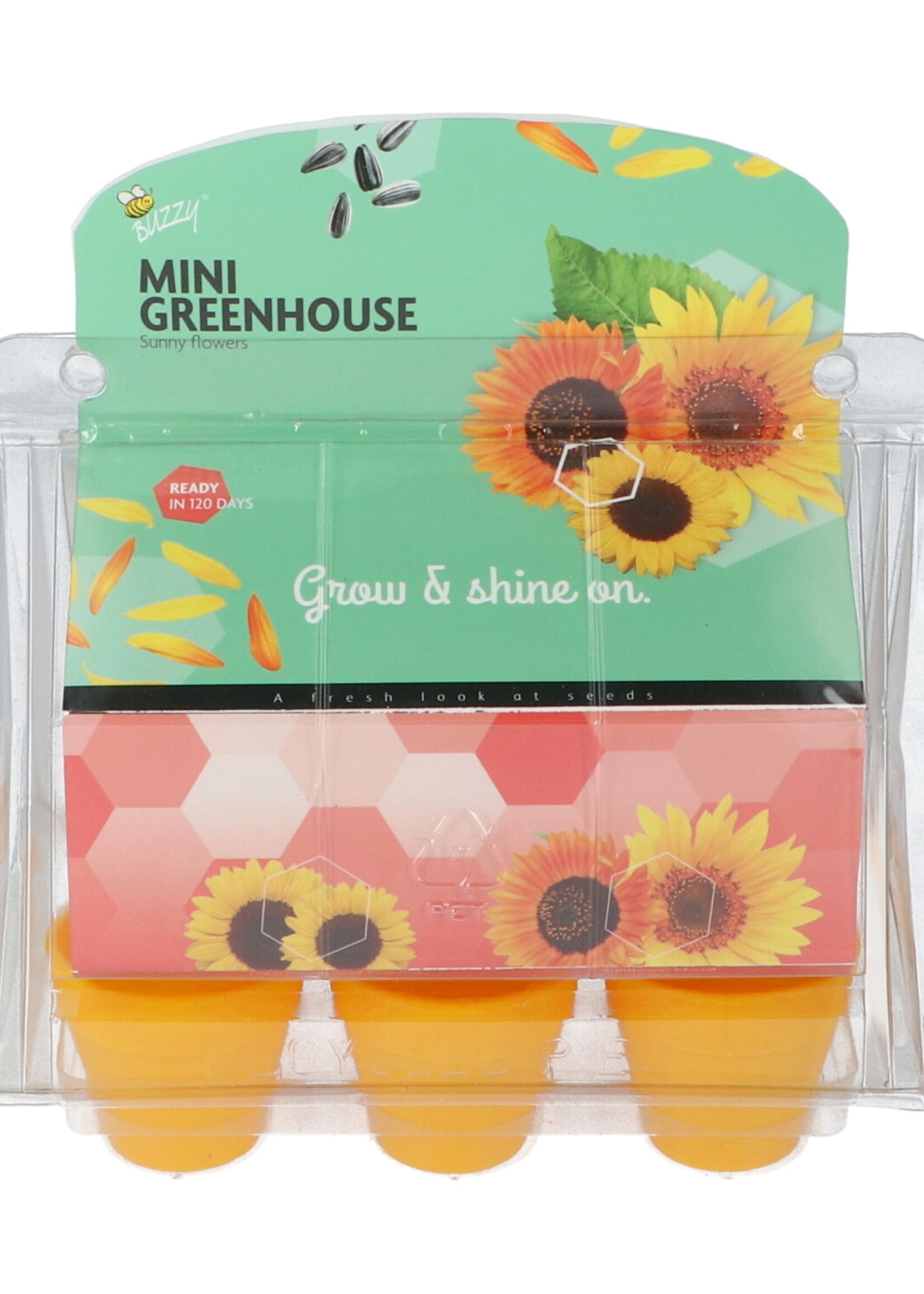 Buzzy Mini Greenhouse Sunny Flowers