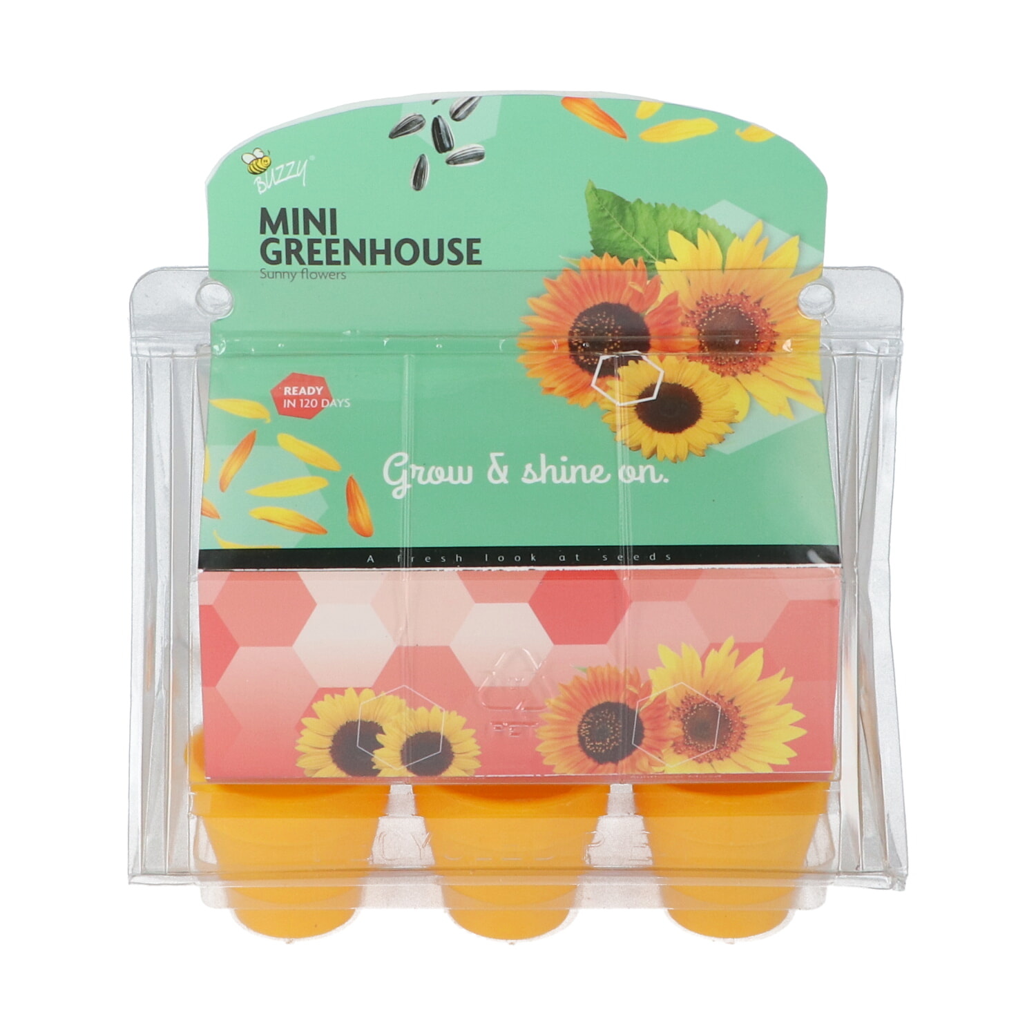 Mini Greenhouse Sunny Flowers