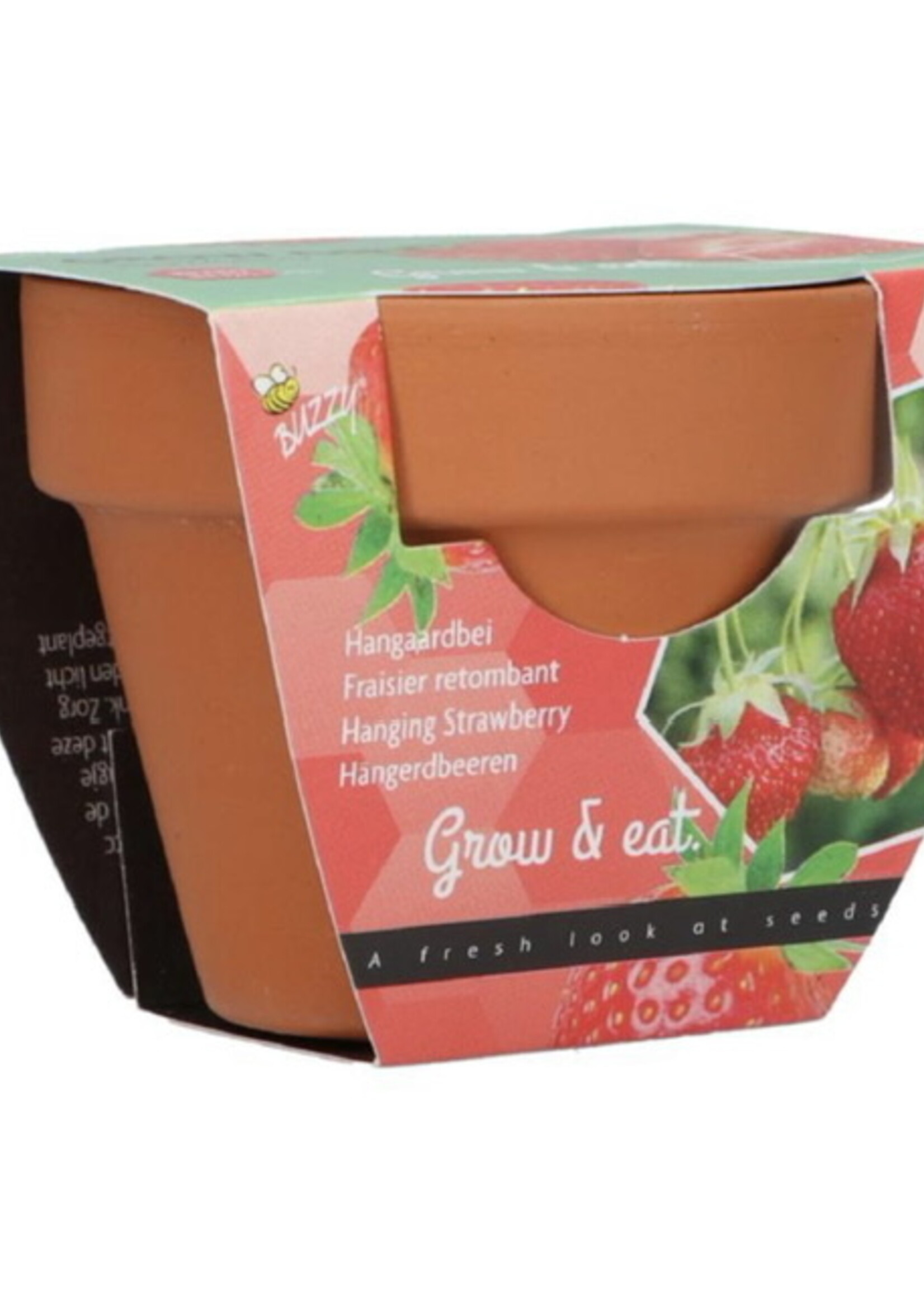 Buzzy Grow Gifts Strawberry