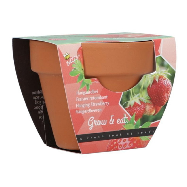 Grow Gifts Aardbei