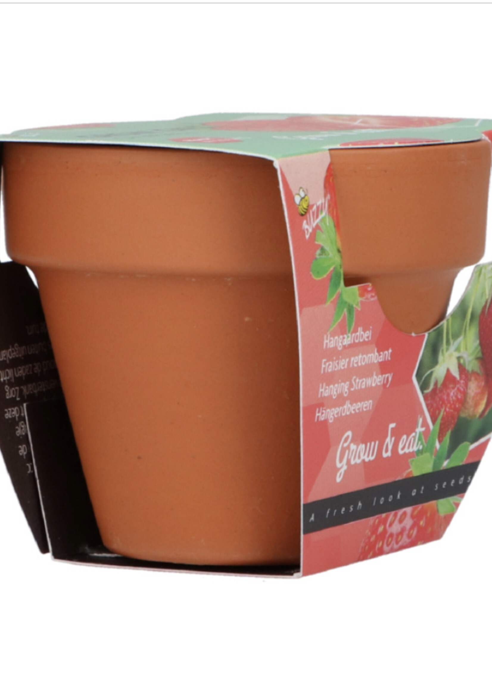 Buzzy Grow Gifts Strawberry