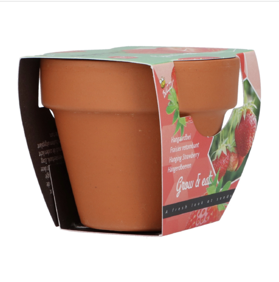 Grow Gifts Aardbei