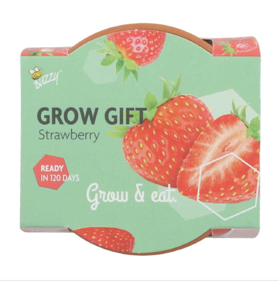 Grow Gifts Aardbei