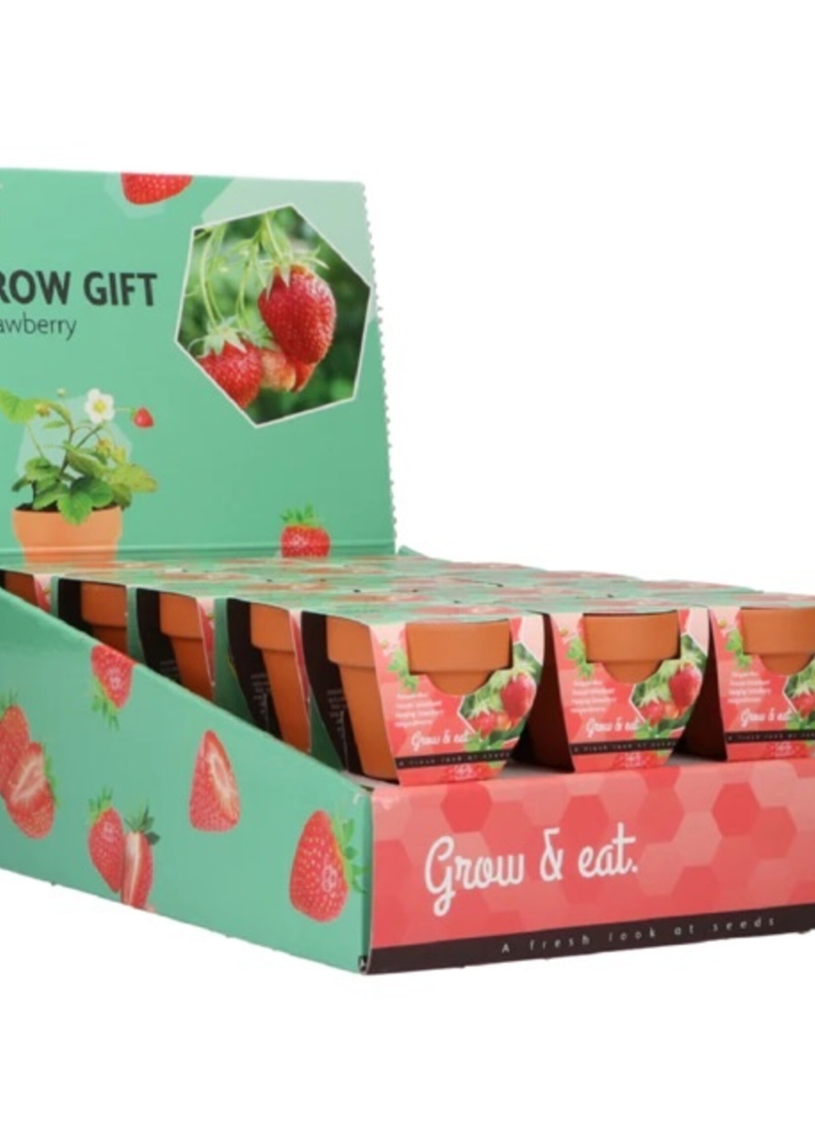 Buzzy Grow Gifts Strawberry