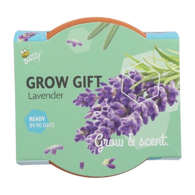 Grow Gifts Lavendel