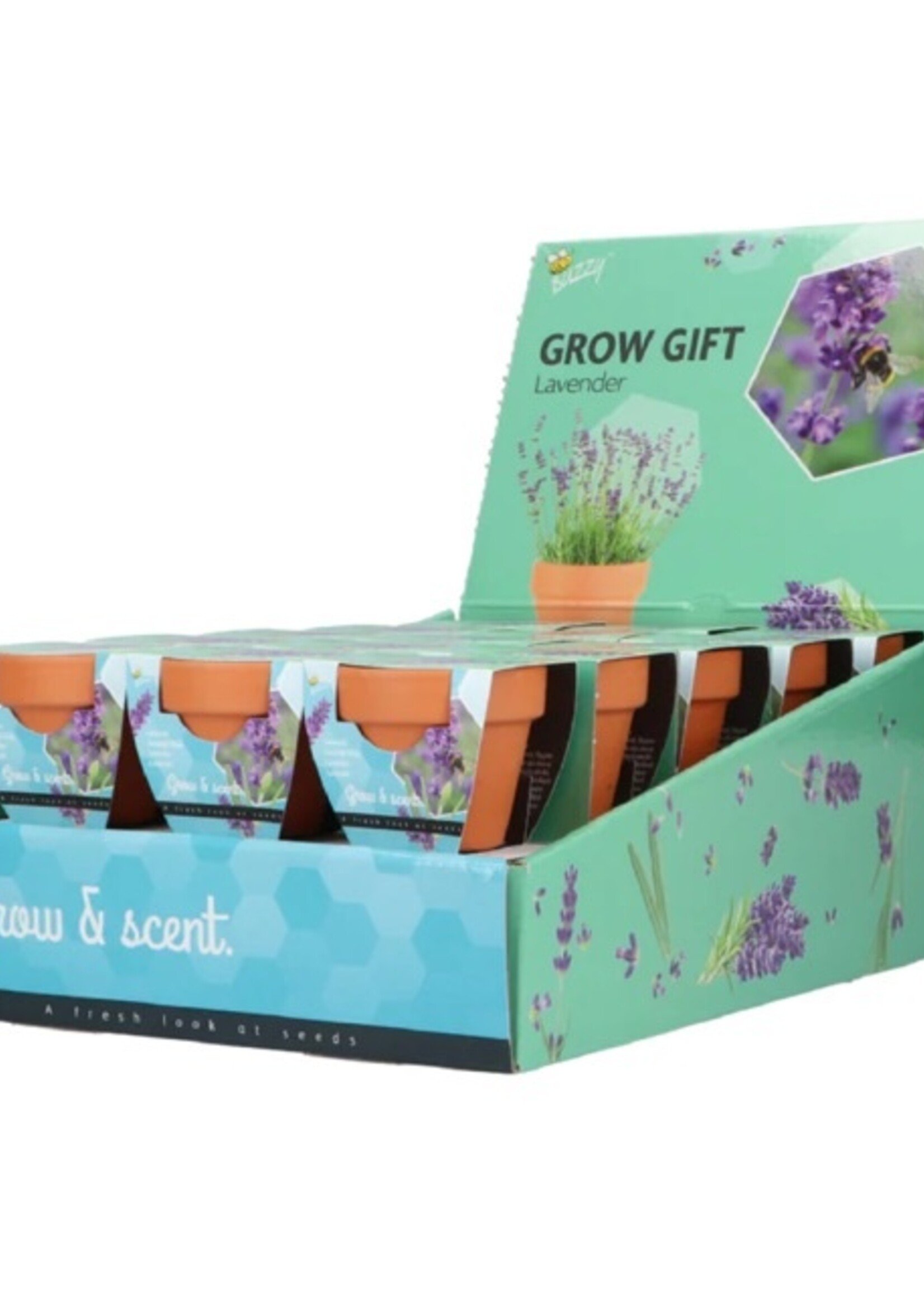 Buzzy Grow Gifts Lavender