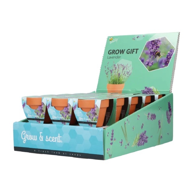 Grow Gifts Lavendel