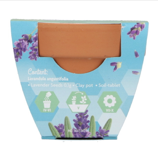 Grow Gifts Lavendel