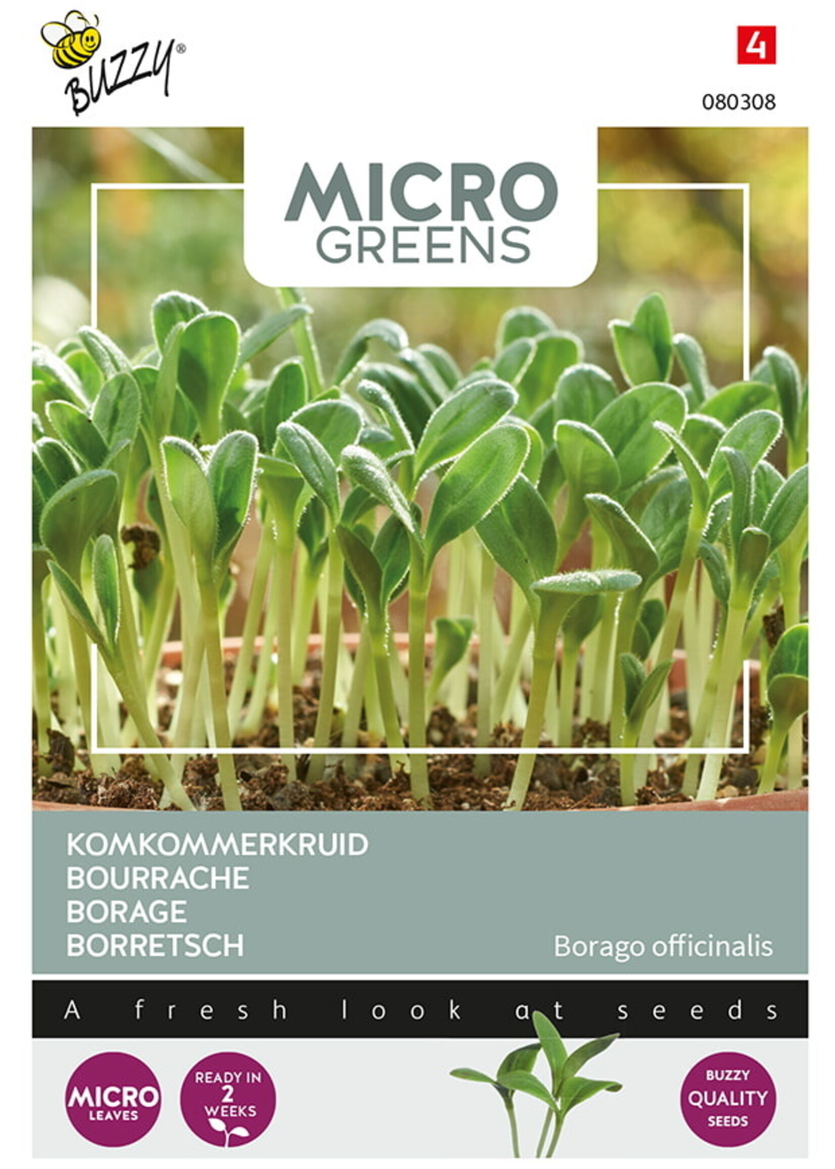 Buzzy Microgreens Borage