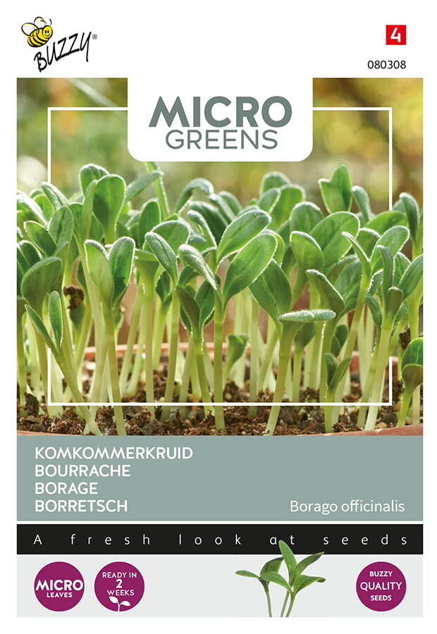 Microgreens komkommerkruid