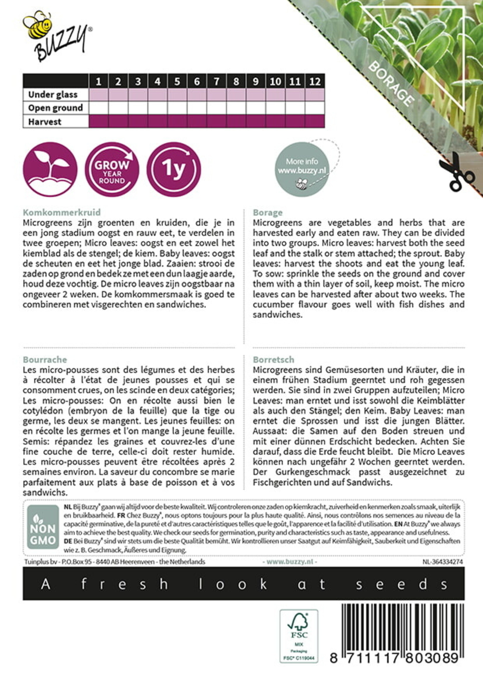 Buzzy Microgreens komkommerkruid