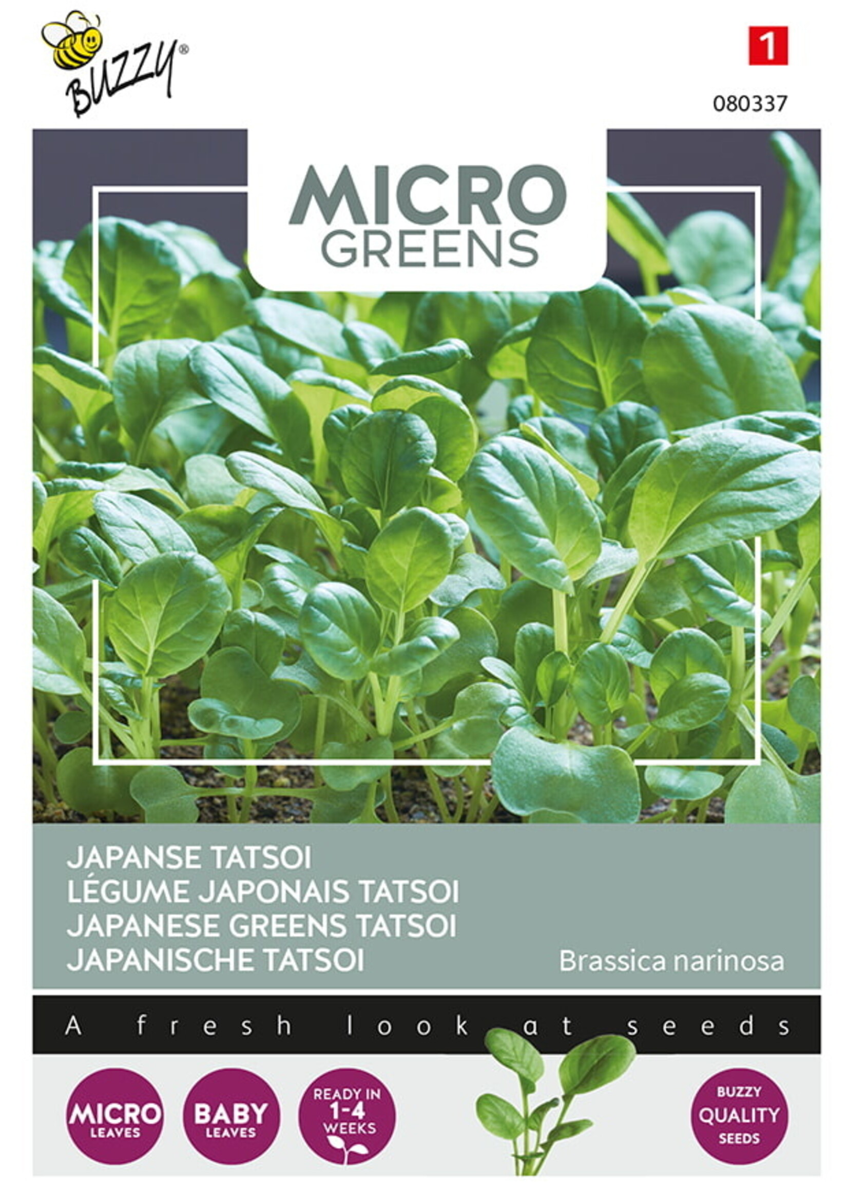Buzzy  Microgreens Japanese Greens Tatsoi
