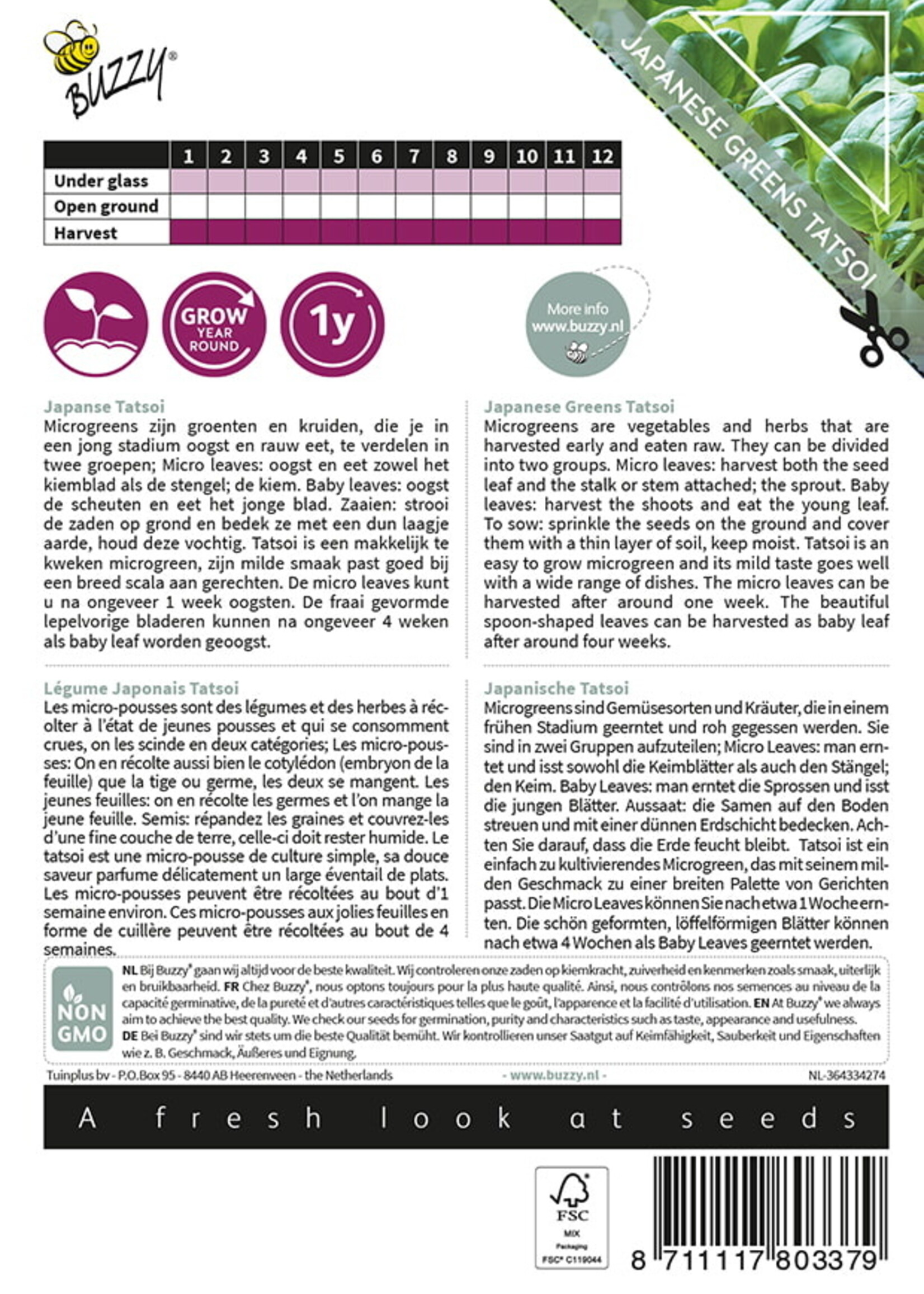 Buzzy  Microgreens Japanese Greens Tatsoi