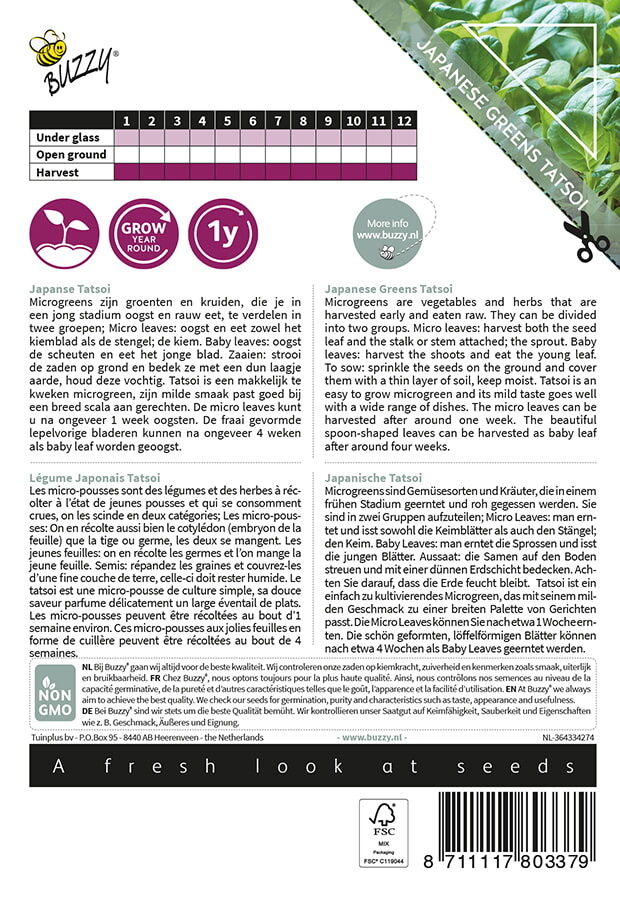Microgreens Tatsoi