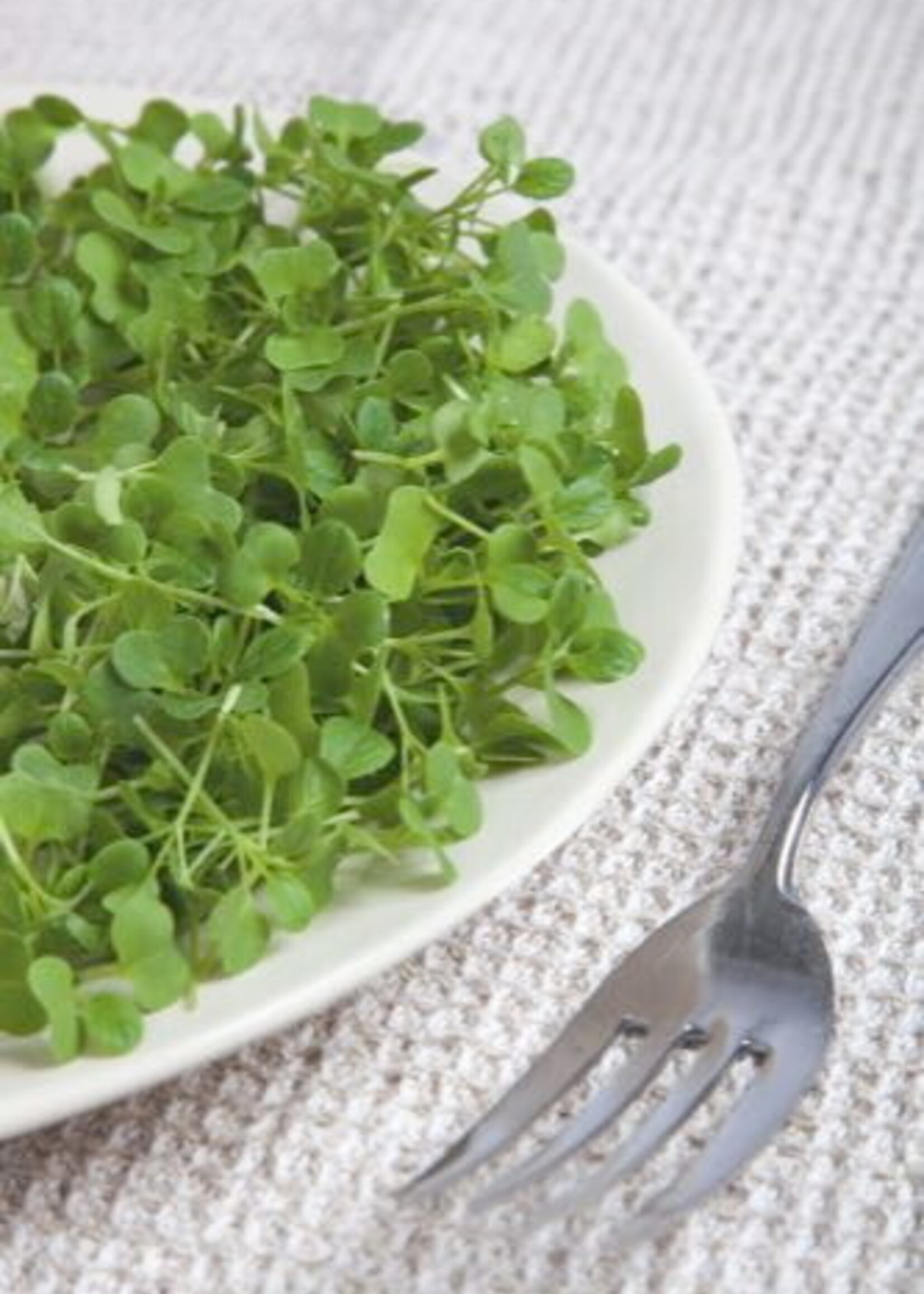 Buzzy  Microgreens Japanese Greens Tatsoi