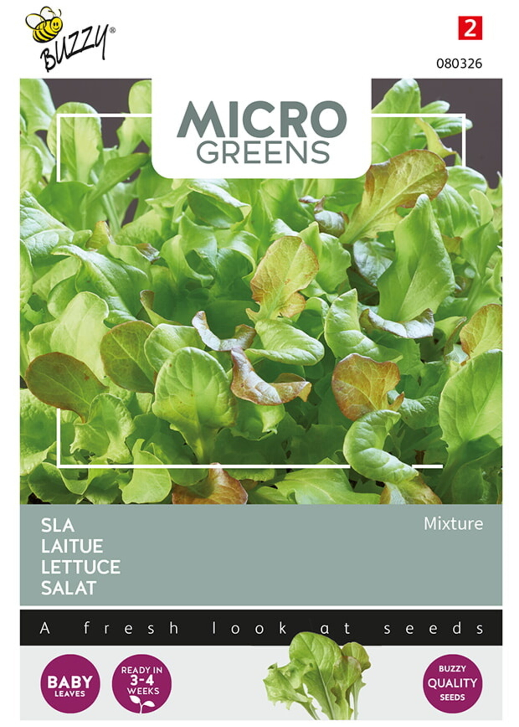 Buzzy Microgreens Lettuce