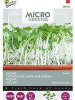 Buzzy Microgreens Mizuna Green