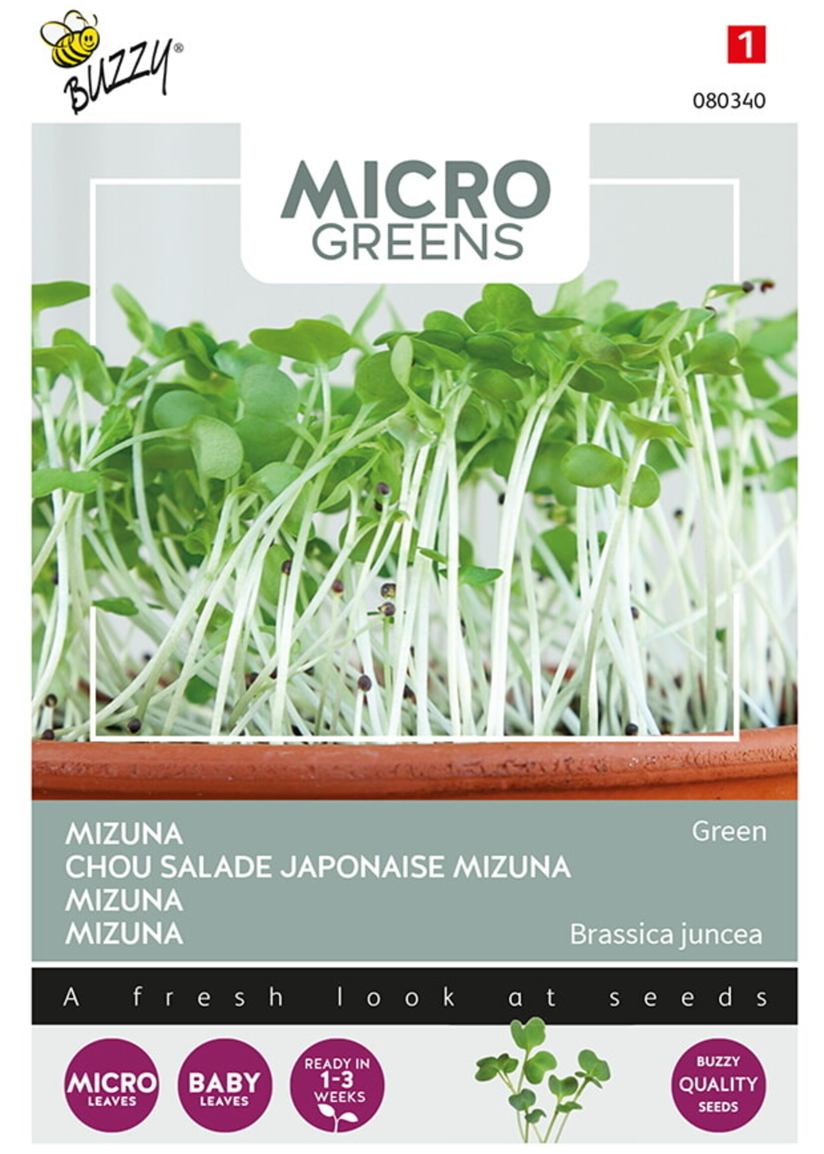 Buzzy Microgreens Mizuna Green